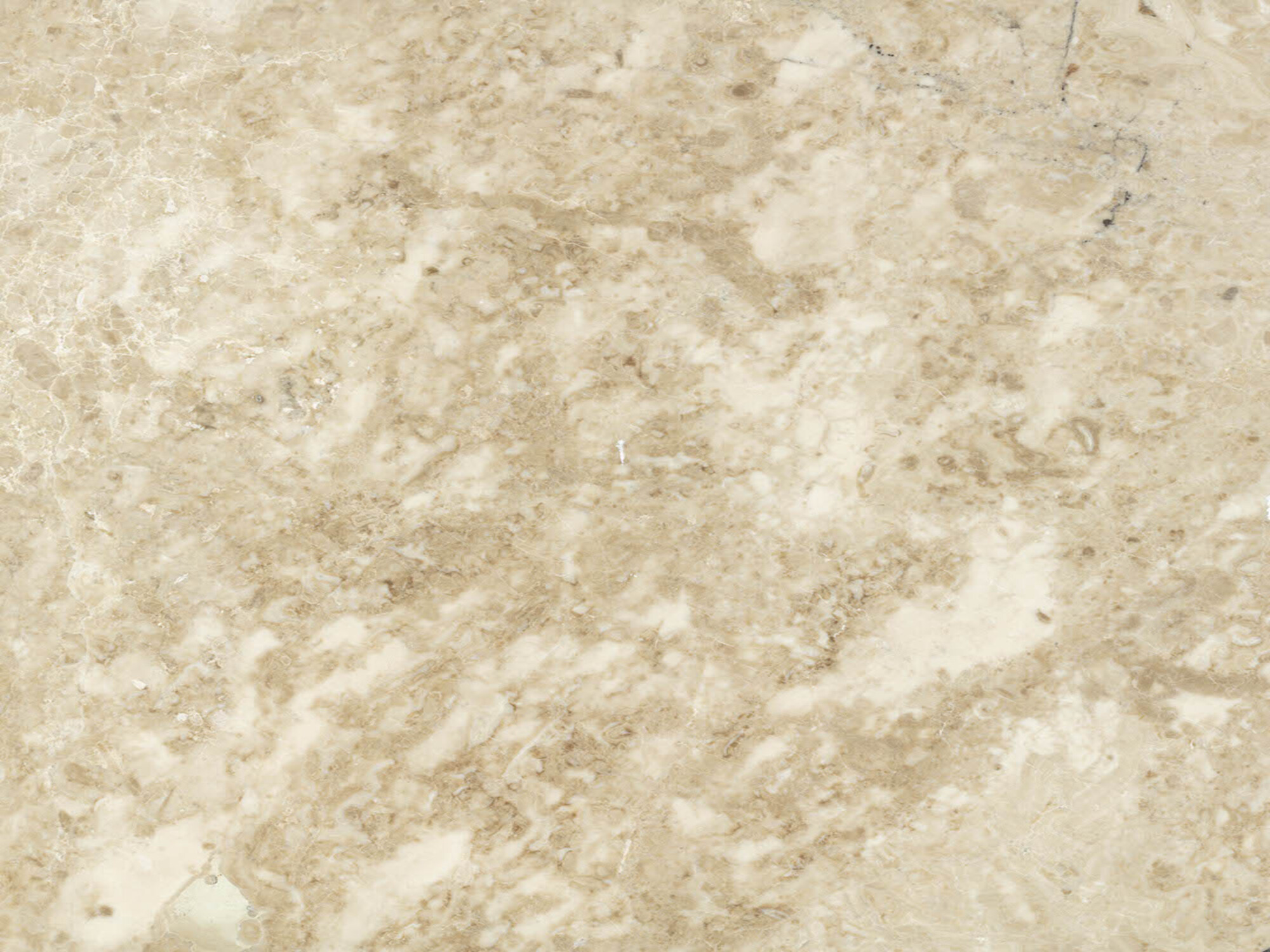 Cappuccino Beige Marble